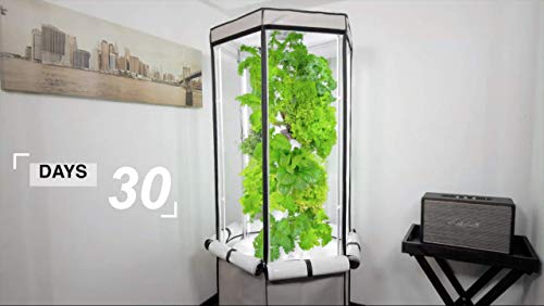 Aerospring 27-Plant Vertical Hydroponics Indoor Growing System - Patented Vertical Hydroponic Kit for Indoor Gardening - Grow Tent, LED Grow Lights & Fan - Grow Lettuce, Herbs, Veggies & Fruits