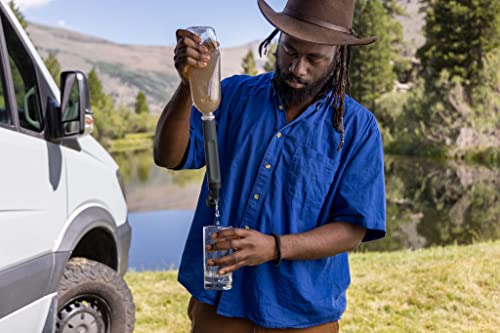 LifeStraw Personal Water Filter for Hiking, Camping, Travel, and Emergency Preparedness