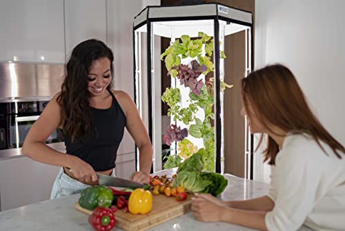 Aerospring 27-Plant Vertical Hydroponics Indoor Growing System - Patented Vertical Hydroponic Kit for Indoor Gardening - Grow Tent, LED Grow Lights & Fan - Grow Lettuce, Herbs, Veggies & Fruits