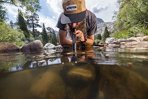 LifeStraw Personal Water Filter for Hiking, Camping, Travel, and Emergency Preparedness