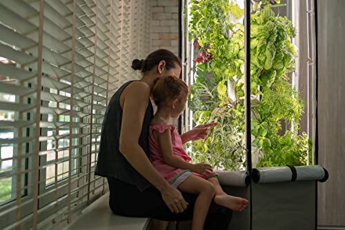 Aerospring 27-Plant Vertical Hydroponics Indoor Growing System - Patented Vertical Hydroponic Kit for Indoor Gardening - Grow Tent, LED Grow Lights & Fan - Grow Lettuce, Herbs, Veggies & Fruits